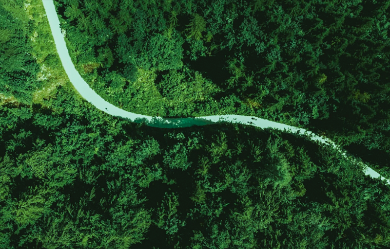 �����������ƶ���ɫ����